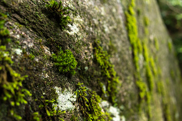 f052_sample_01_thum