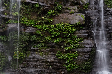 a069_magnification_01