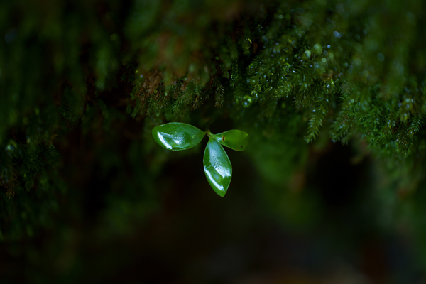 a056_sample_04_thum
